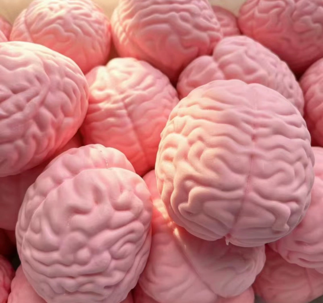 BRAIN Generic Cube Stress Squishy – Sensory Fidget Toy
